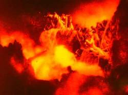 Christ Inversion : 13th Century Luciferian Rites